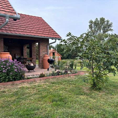 Bed and Breakfast Kosbor Panzio Magyarszombatfa Экстерьер фото